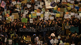 A Fight Over a 'False Solution' Is at the Center of Madrid Climate Talks<i></i><i></i>